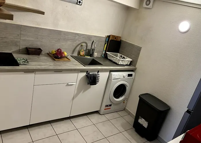 Apartment Grand T3-coeur De Fontainebleau-300 M Du Chateau *