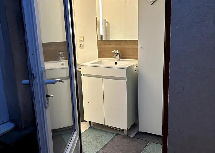 Grand T3-coeur De Fontainebleau-300 M Du Chateau Apartment *